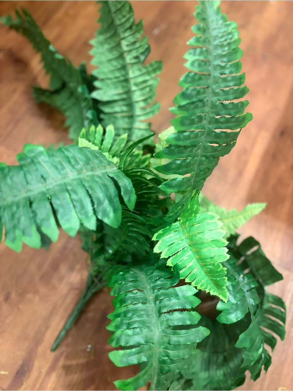 Decorative Green Ferns - Home Accents